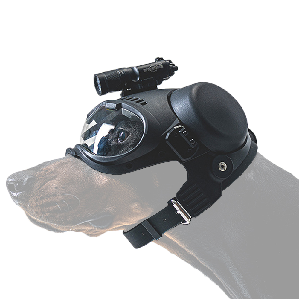 หมวกนิรภัยสำหรับสุนัขฝึกซ้อมกล - Hunting Dog Outdoor บทวิจารณ์และราคา
