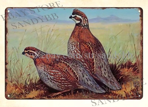 ป้ายโลหะตกแต่งผนังภายในบ้านลาย - Hunting Quail บทวิจารณ์และราคา